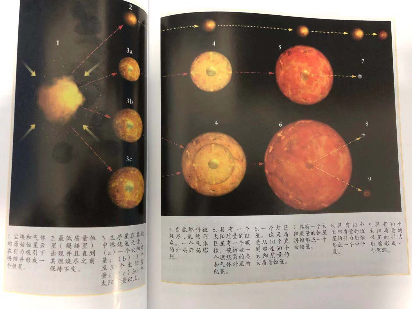 恒星的生命周期